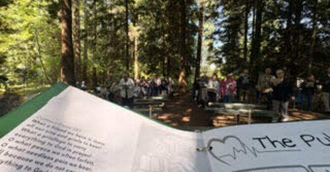 July 5th Worship in the Chapel in the Woods image