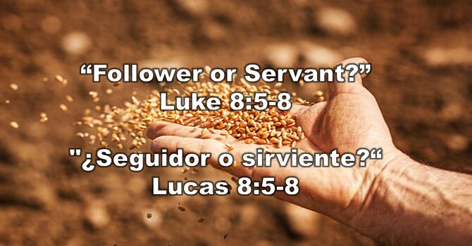 “Follower or Servant?” 