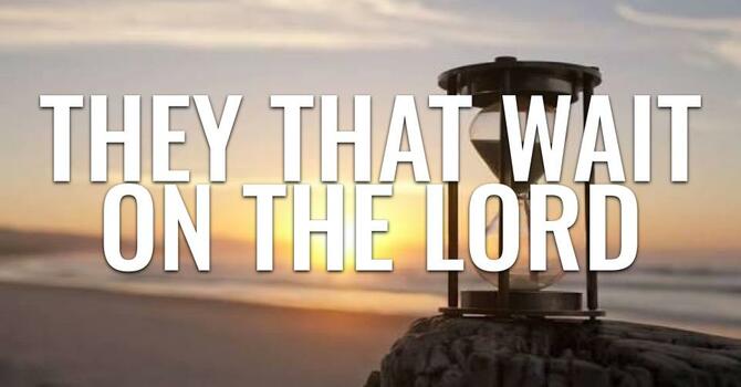 They That Wait On The Lord