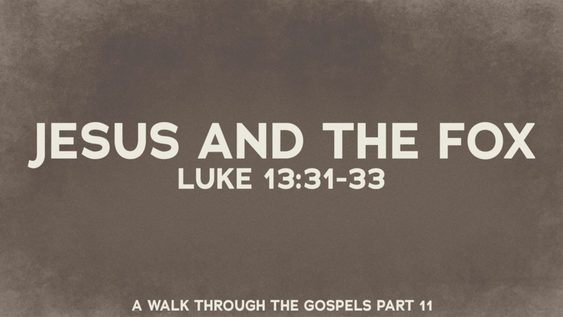 Jesus and the Fox