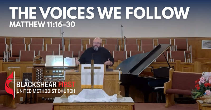 The Voices We Follow