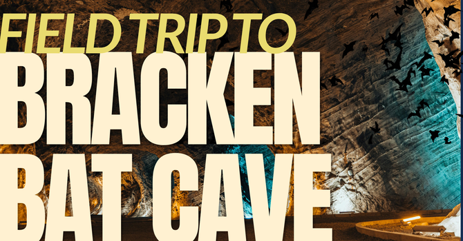 Field Trip To Bracken Bat Cave