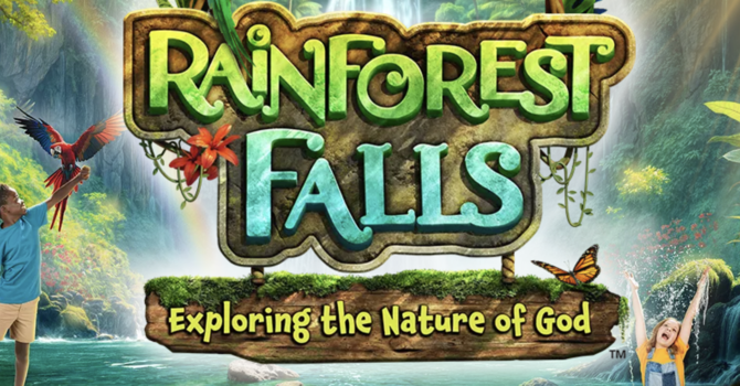 Welcome to Rainforest Falls!
