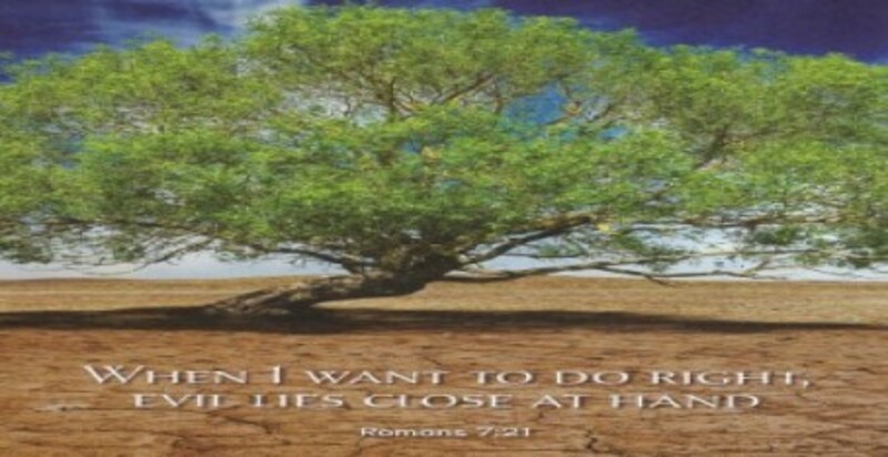 Sixth Sunday After Pentecost 