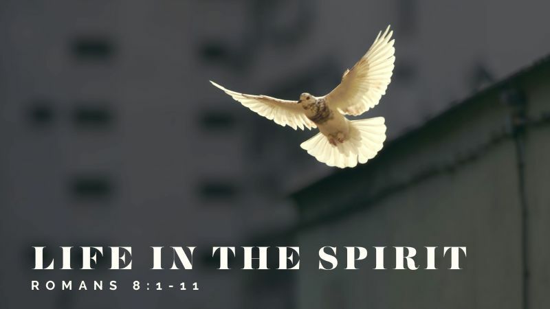 Life In the Spirit