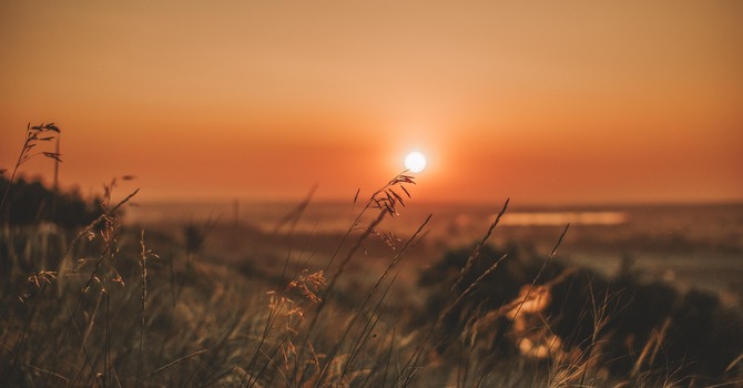 Grace Notes Weekly Updates: June 22, 2026 image