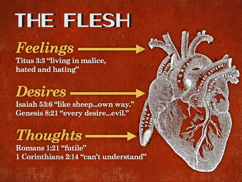 When the Flesh Takes the Wheel