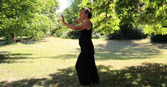 Qigong Among the Trees
