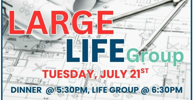 LARGE LIFE GROUP