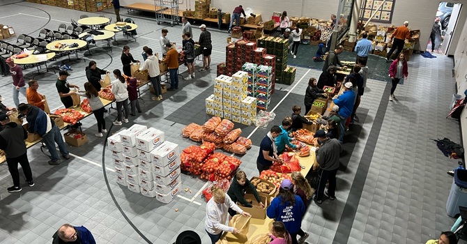 Gallery: 2022 ESB Food Pantry Service Day image