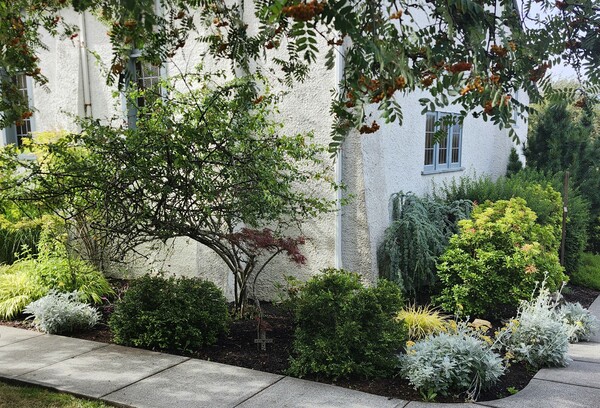 Summer Garden Maintenance Update