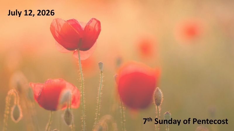 Sermon: "Roots & Fruits"