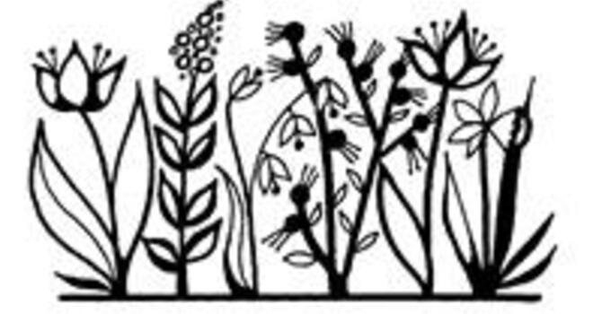 Crossroads Newsletter for the week of July 12, 2026