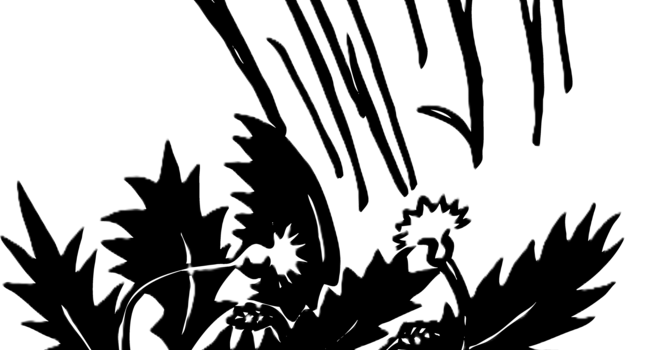 Sunday, July 12, 2026