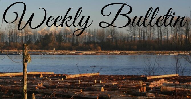 Bulletin for July 11 & 12, 2026