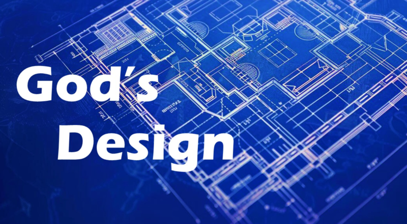 "God's Design"
