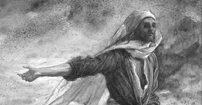 Bulletin for the Seventh Sunday after Pentecost, July 12, 2026 image