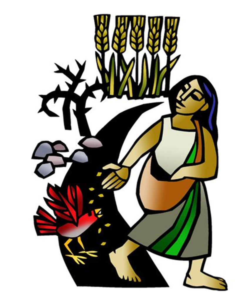 Sunday, July 12, 2026 - Seventh Sunday After Pentecost