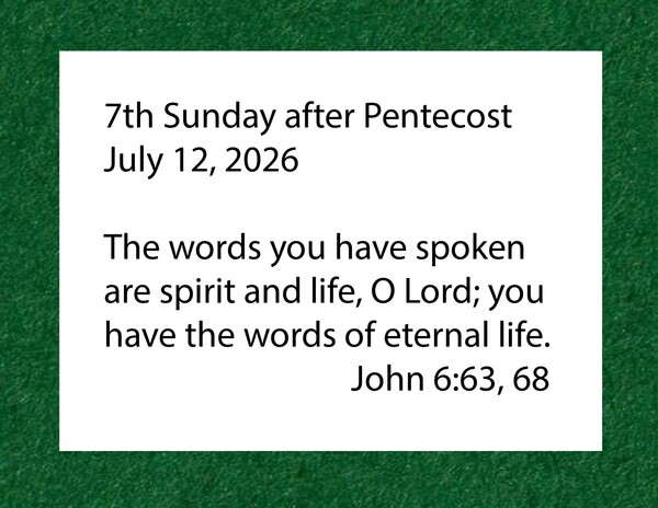 7th Sunday after Pentecost
