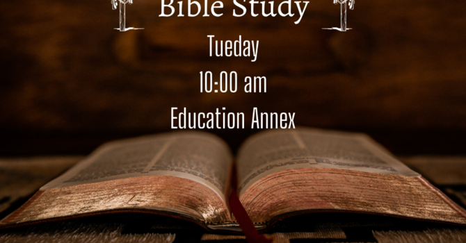 Bible Study