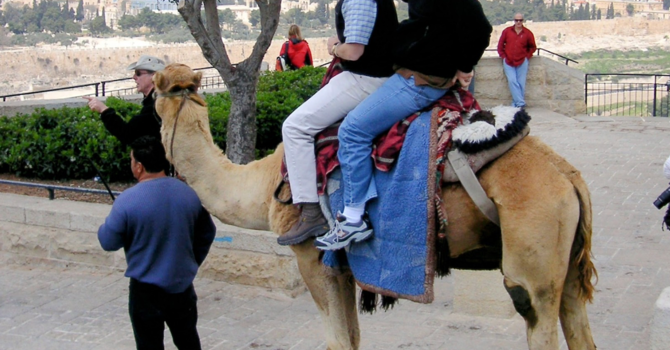 A Journey to the Holy Land