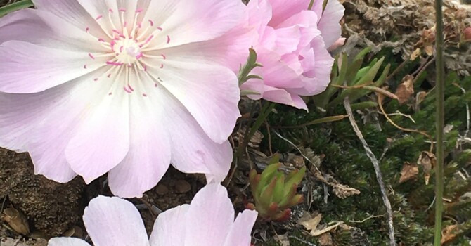 Introduction to Mindfulness