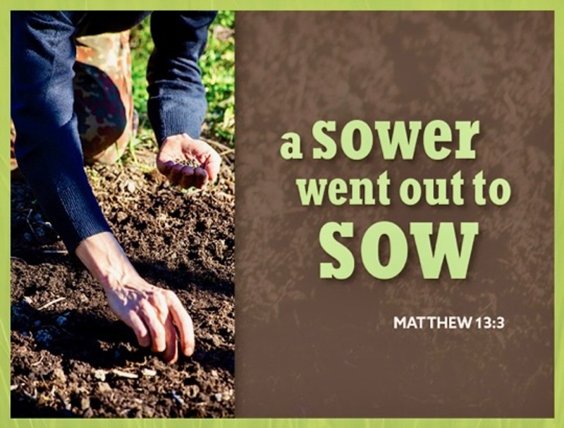 Seventh Sunday After Pentecost