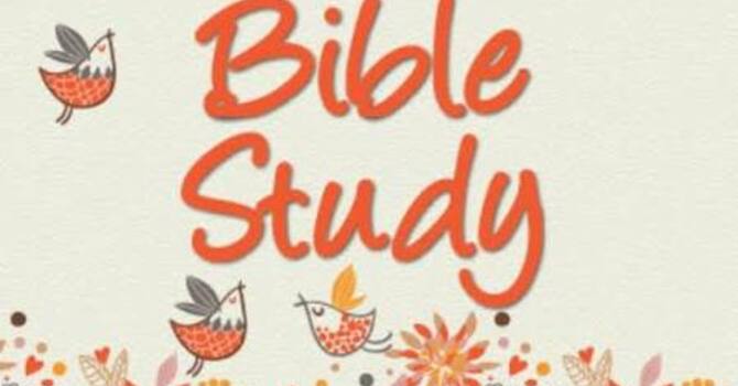 Ladies' Tuesday Study