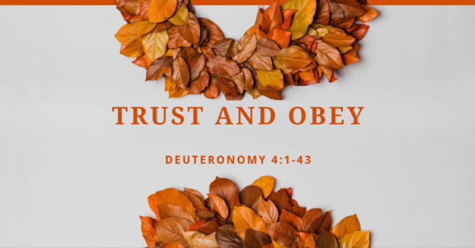 Trust and Obey