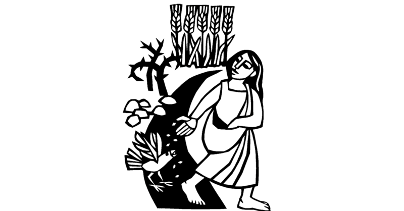 Seventh Sunday after Pentecost - 2026