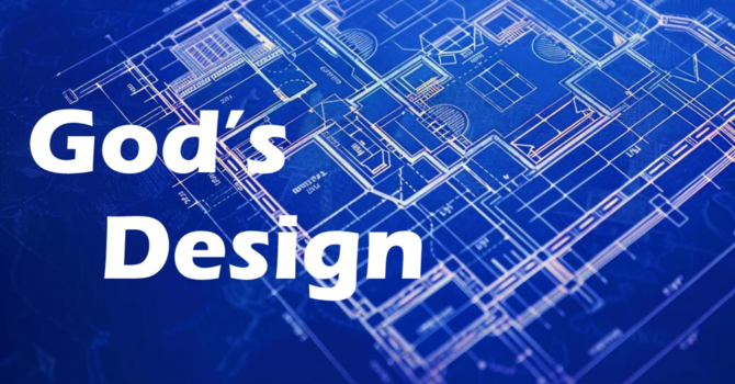 "God's Design"