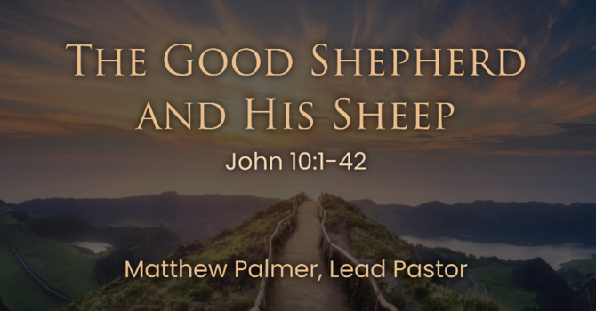 The Good Shepherd and His Sheep