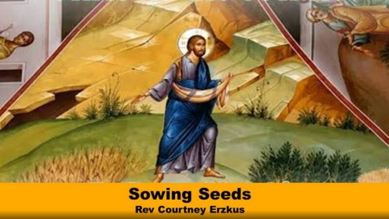 Sowing Seeds