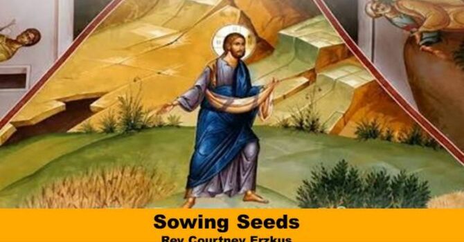 Sowing Seeds