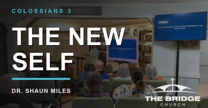 The New Self |  Colossians 3:12–4:1  image