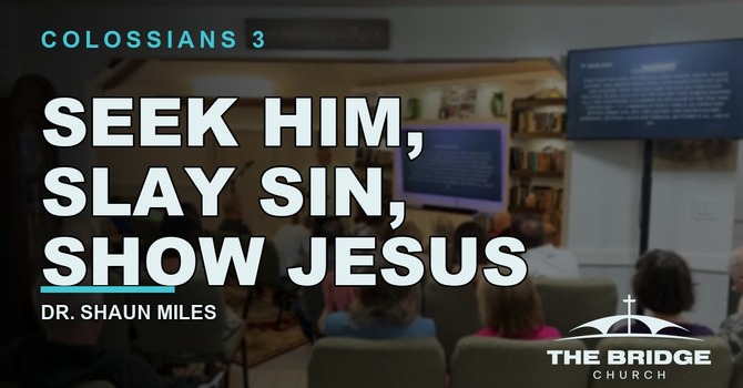 Seek Him, Slay Sin, Show Jesus | Colossians 3:1-11 image