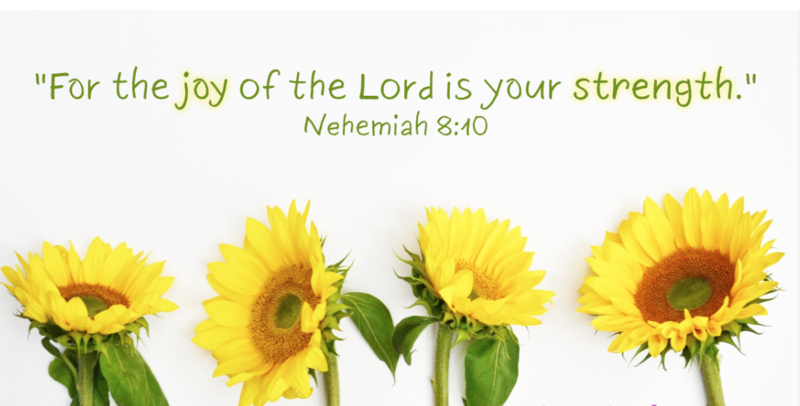 THE JOY OF THE LORD