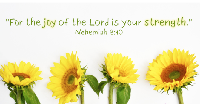 THE JOY OF THE LORD
