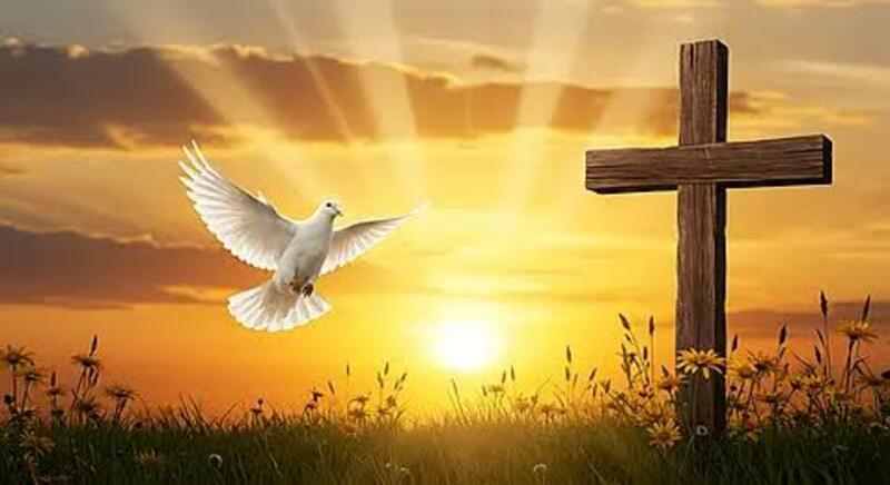 The Spirit Continues Christ's Work