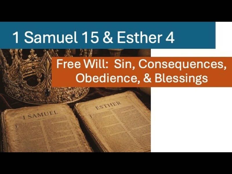 Free Will: Sin, Consequences, Obedience, & Blessings