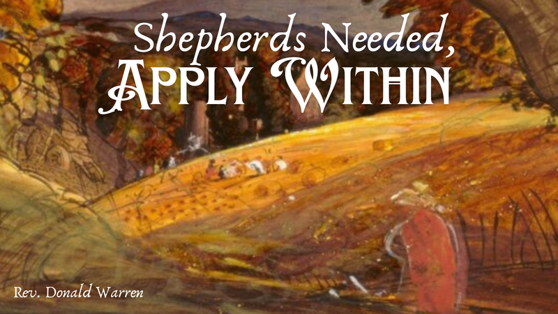 Shepherds Needed, Apply Within-Traditional Service