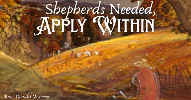Shepherds Needed, Apply Within-Contemporary Service