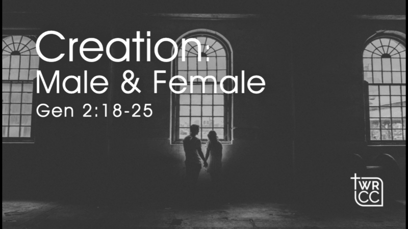 Creation: Male & Female