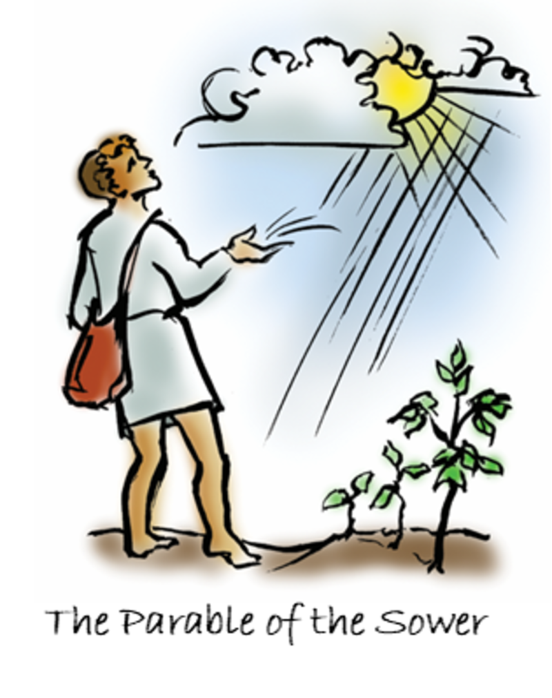 Sermon for July 12, 2026