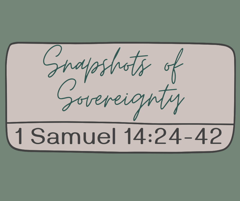 First Baptist Church Kearney MO -Sermon, Snapshots of Sovereignty - Part 27