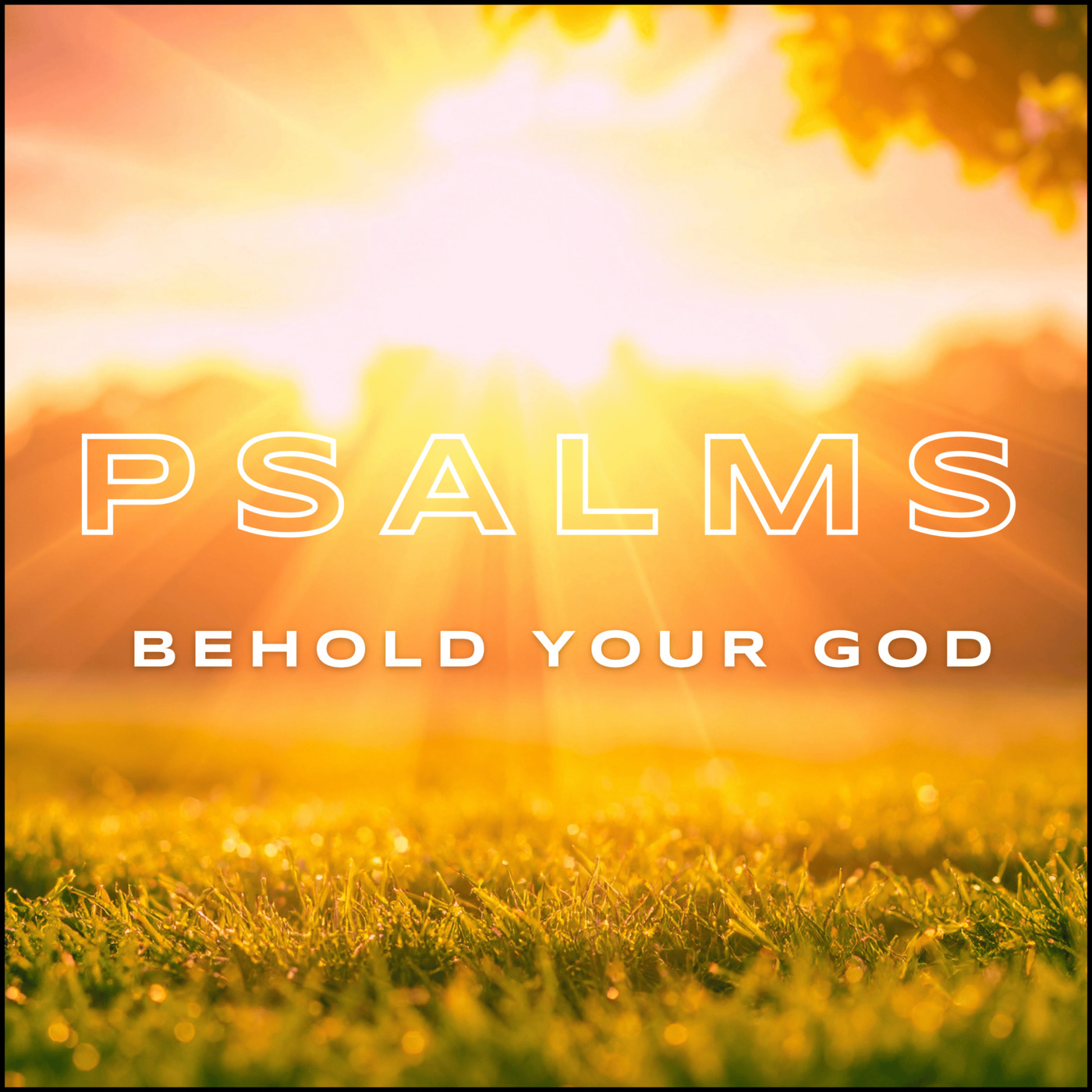Behold Your God (4): Psalm 90:1-17 episode artwork