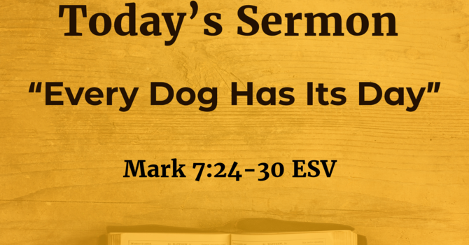 Every Dog Has Its Day