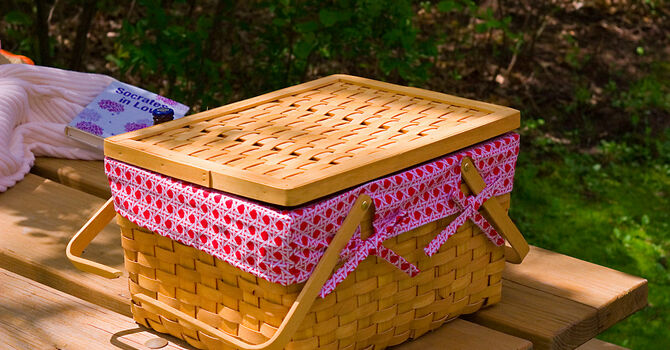 Young-ish adult picnic