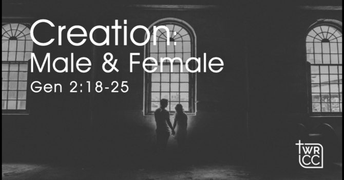 Creation: Male & Female