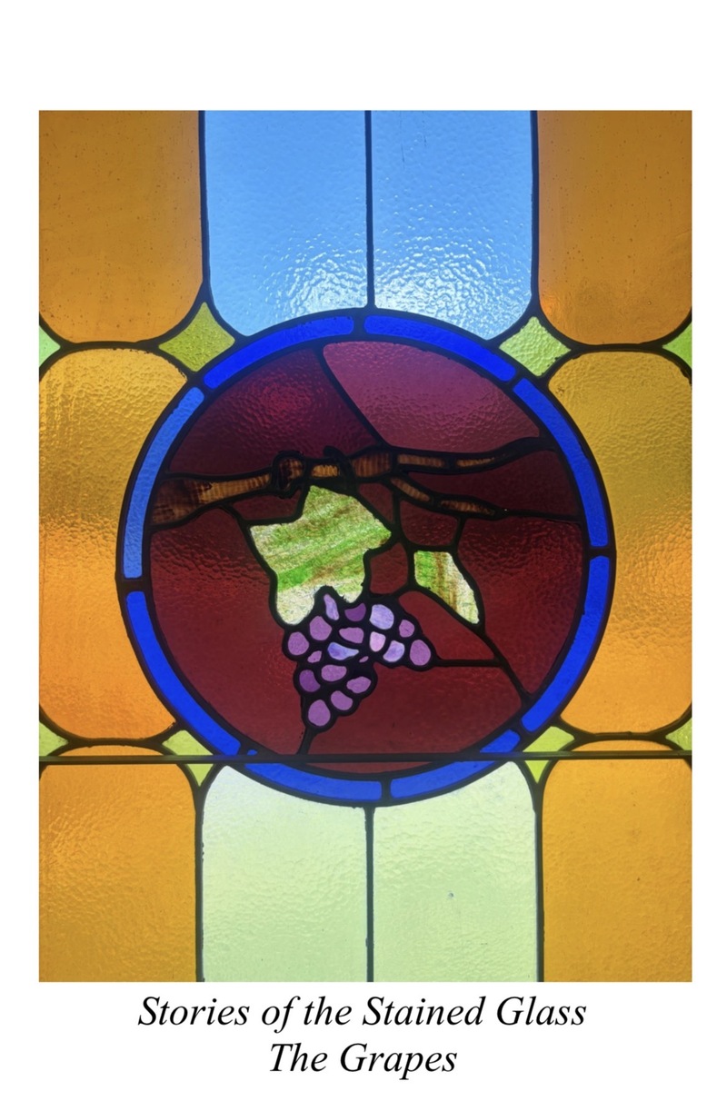 "Stories of the Stained Glass - The Grapes"